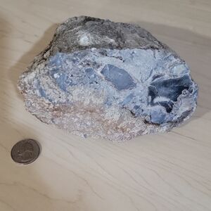 Rough Blue-Grey Petrified Wood In Volcanic Ash.